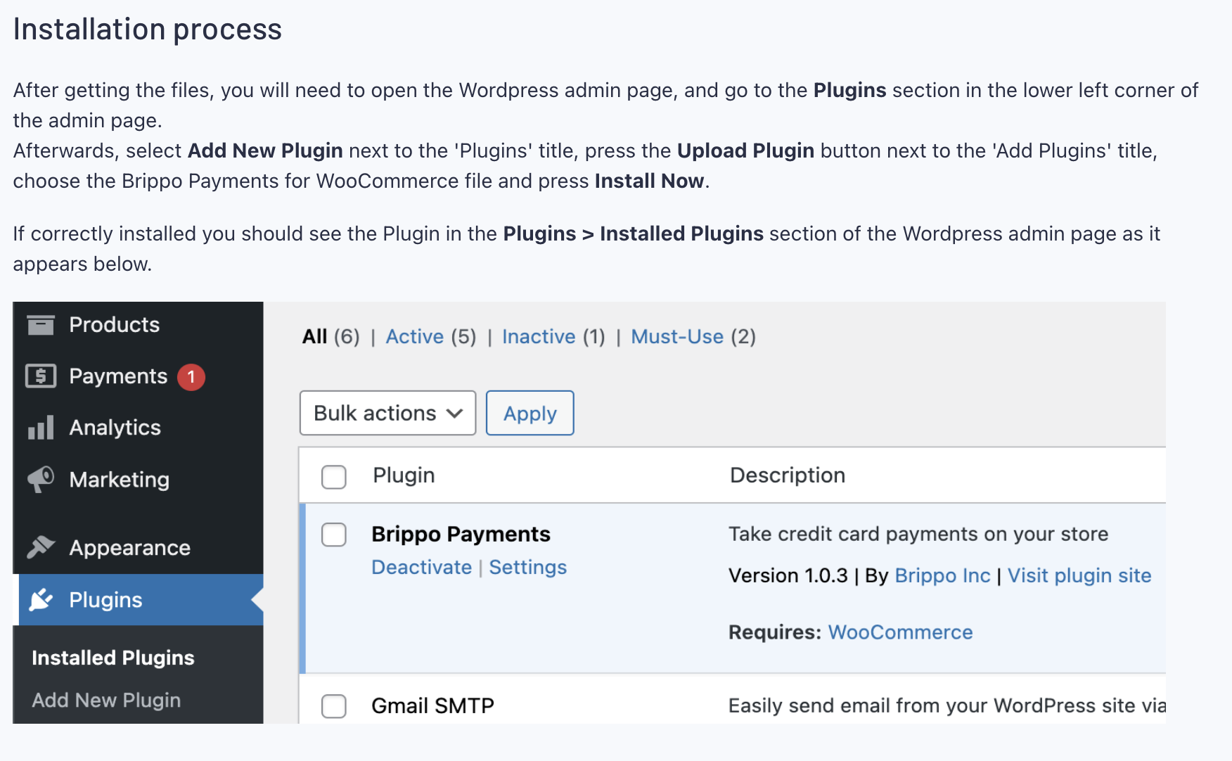 WooCommerce admin Plugins page showing Brippo Payments installed and active